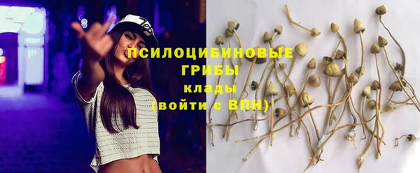 мдма Бородино