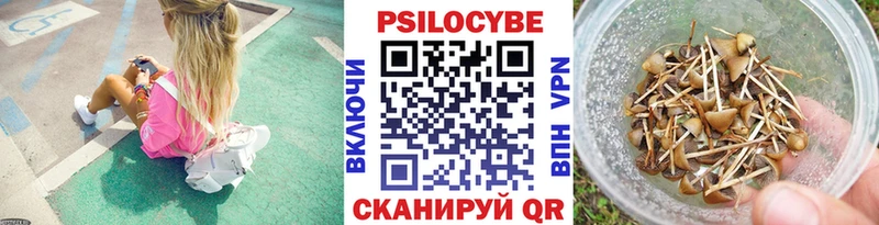 Галлюциногенные грибы GOLDEN TEACHER  Медногорск 